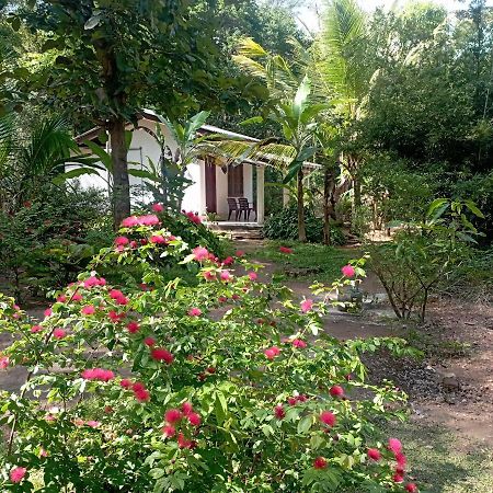 Sanjana Home Stay Хабарана Екстериор снимка