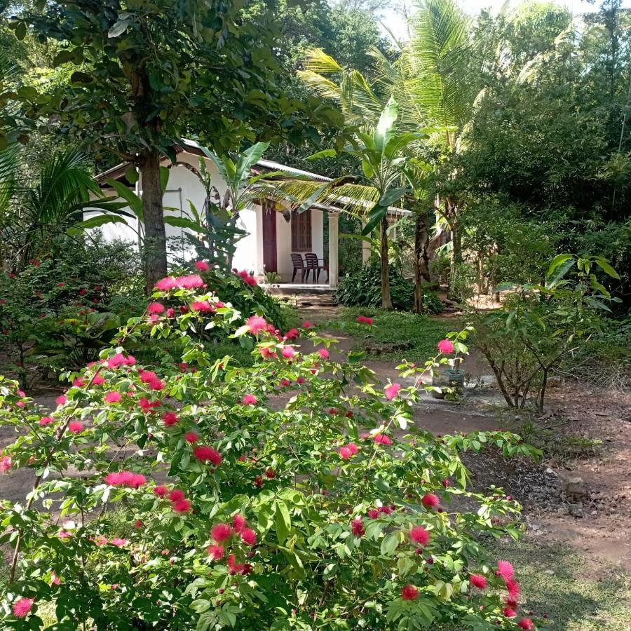 Sanjana Home Stay Хабарана Екстериор снимка