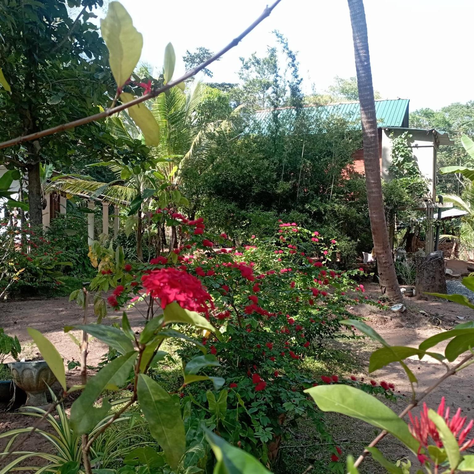 Sanjana Home Stay Хабарана Екстериор снимка