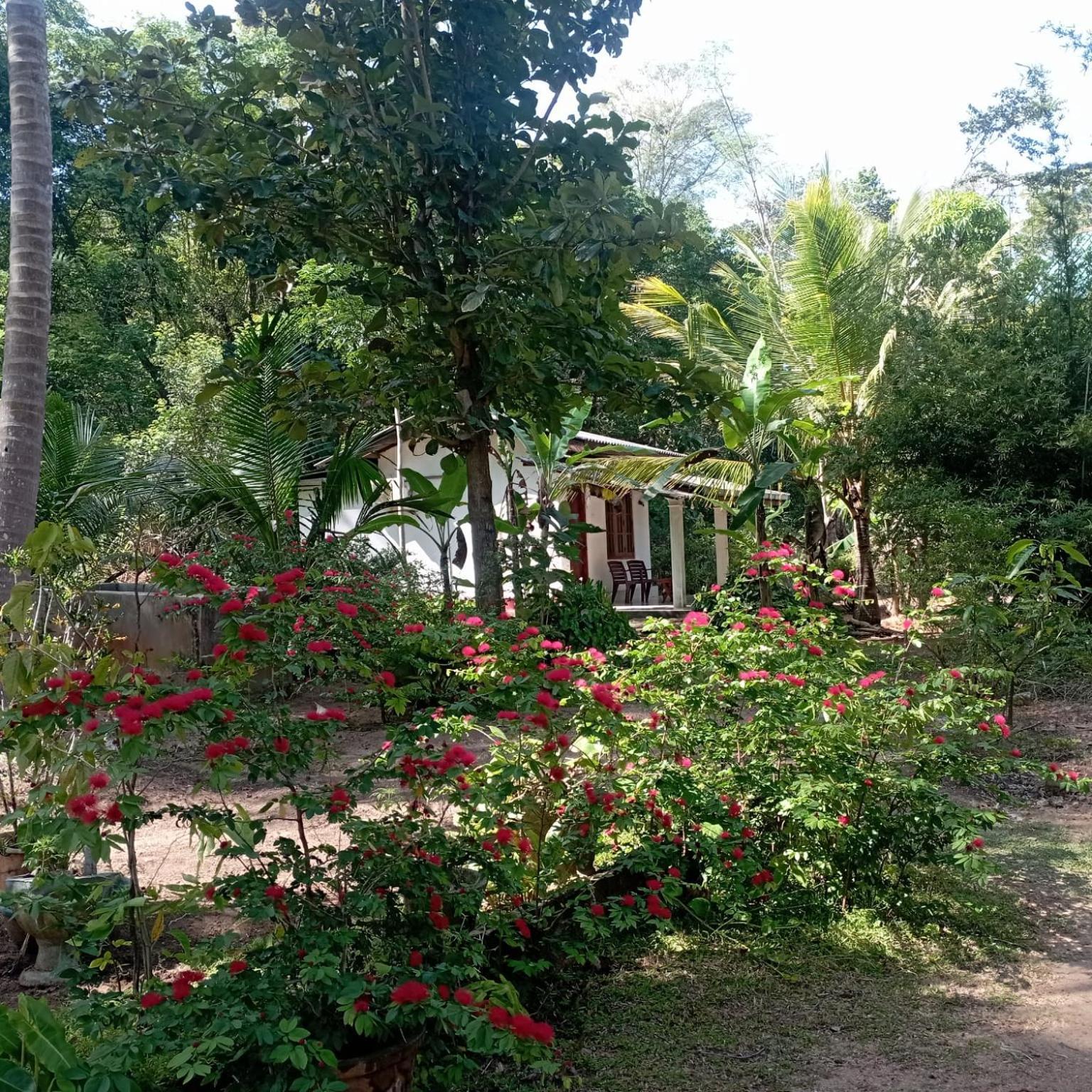 Sanjana Home Stay Хабарана Екстериор снимка